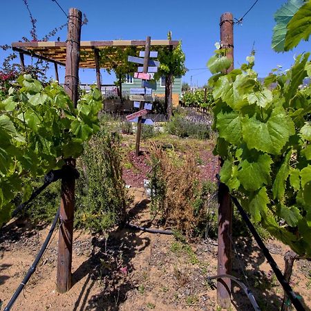 3333 Luz Del Valle Hotel Boutique Valle de Guadalupe Ngoại thất bức ảnh