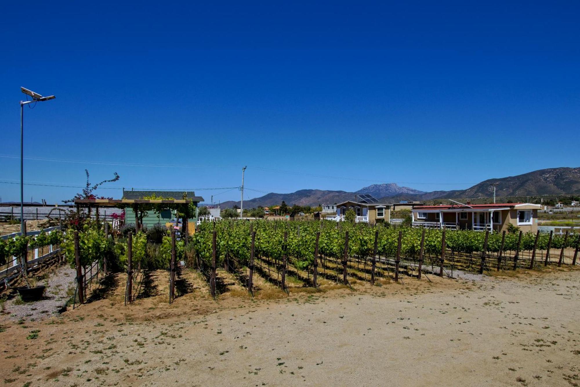 3333 Luz Del Valle Hotel Boutique Valle de Guadalupe Ngoại thất bức ảnh