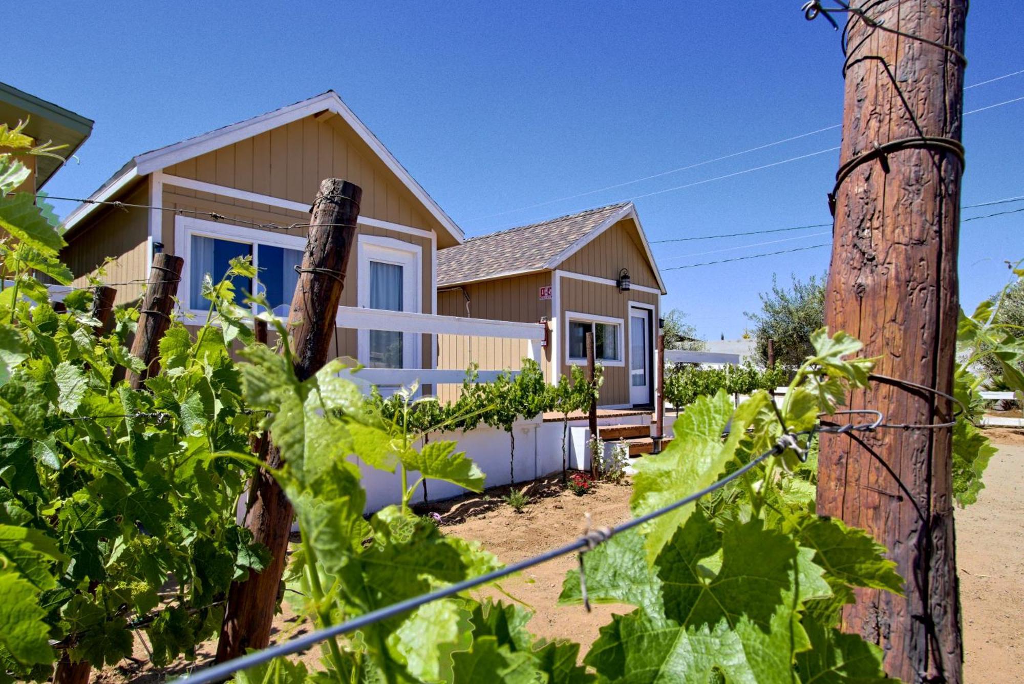 3333 Luz Del Valle Hotel Boutique Valle de Guadalupe Ngoại thất bức ảnh