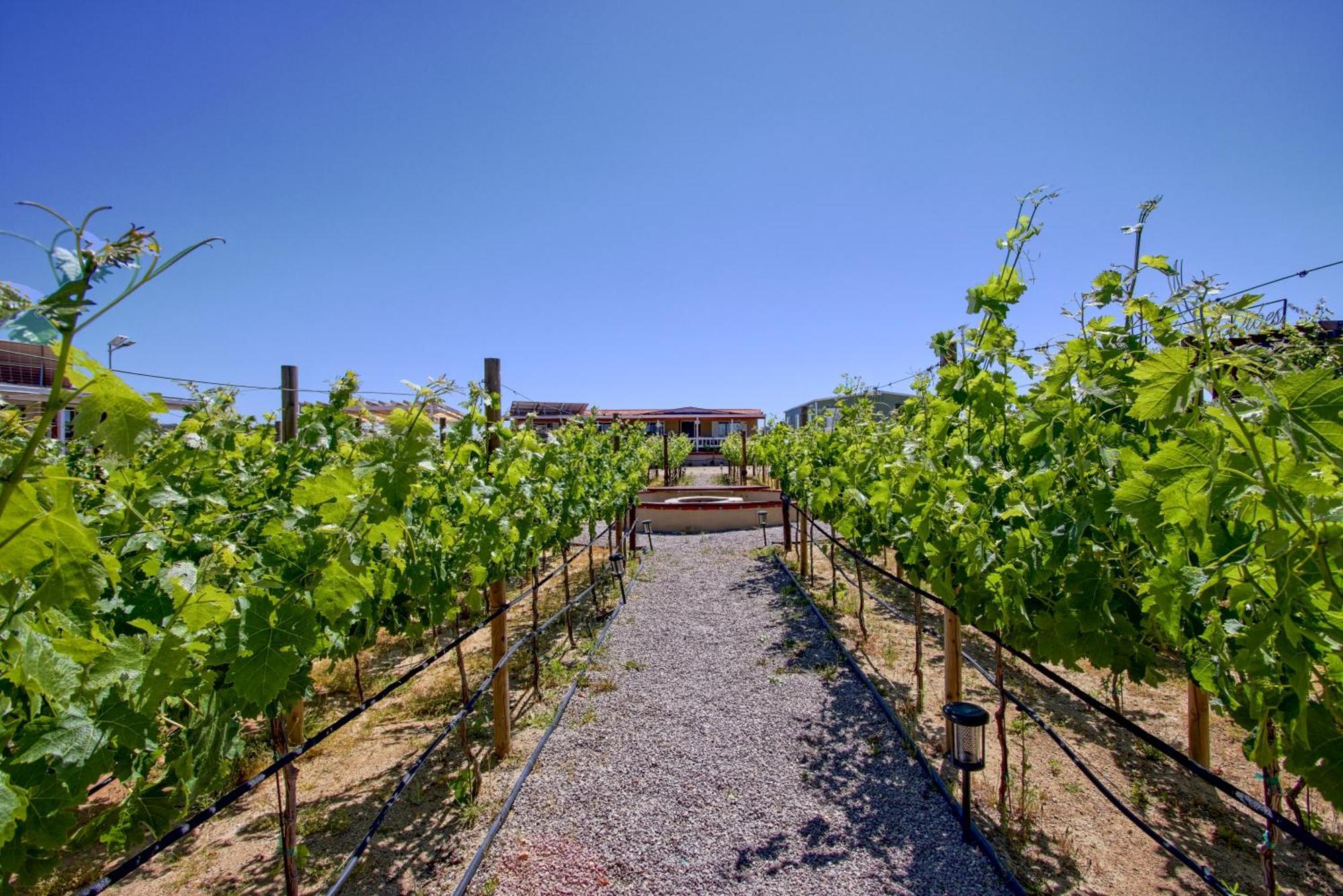 3333 Luz Del Valle Hotel Boutique Valle de Guadalupe Ngoại thất bức ảnh