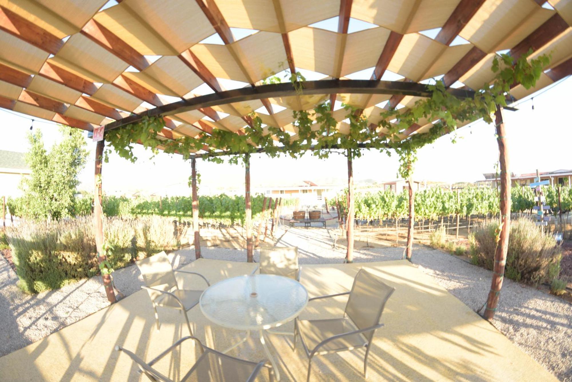 3333 Luz Del Valle Hotel Boutique Valle de Guadalupe Ngoại thất bức ảnh