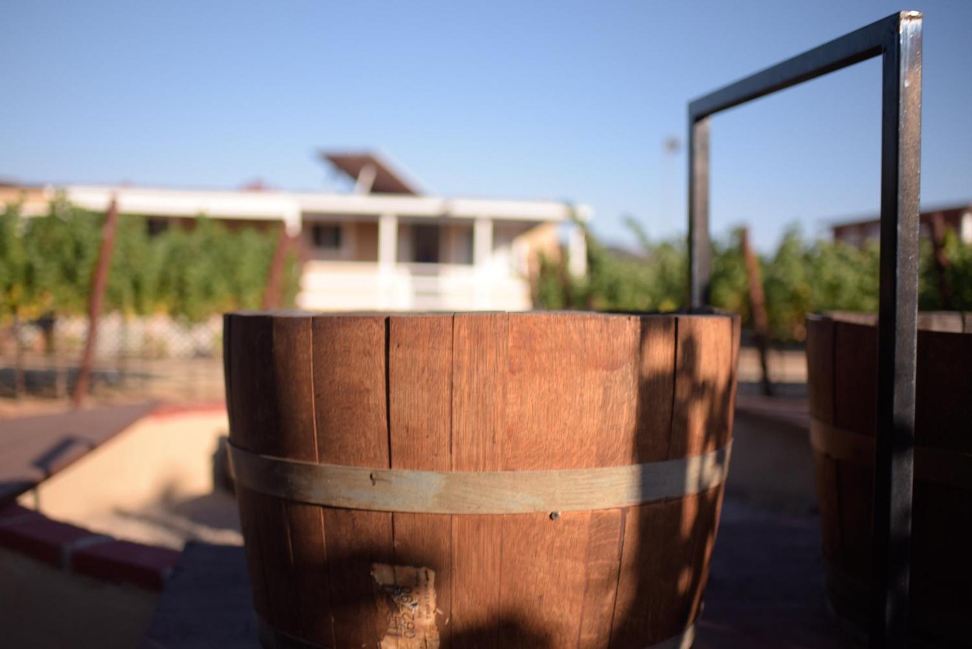 3333 Luz Del Valle Hotel Boutique Valle de Guadalupe Ngoại thất bức ảnh